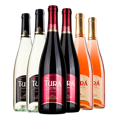 素材-酒类行业素材(16)-giv红酒 意大利原瓶进口 红酒起泡酒